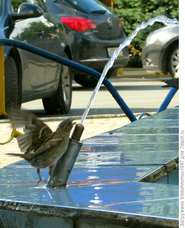 ПРЫГАТЬ НАДО!