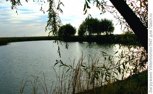 Всё! Клевать больше не будет.