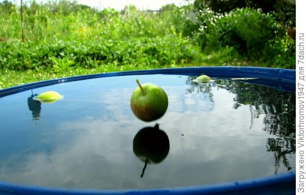 Сейчас будет "бульк"