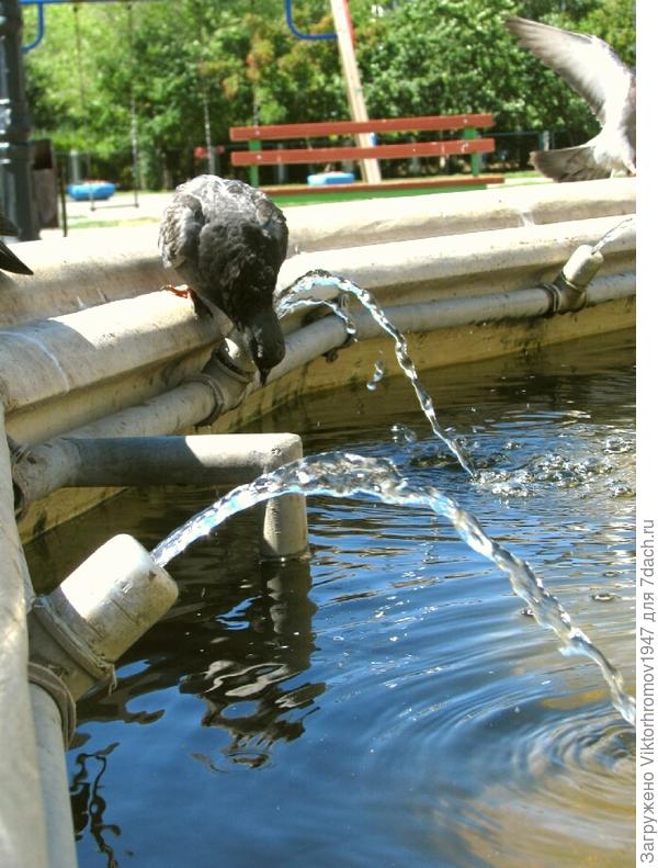 Как бы не нырнуть...скользко.