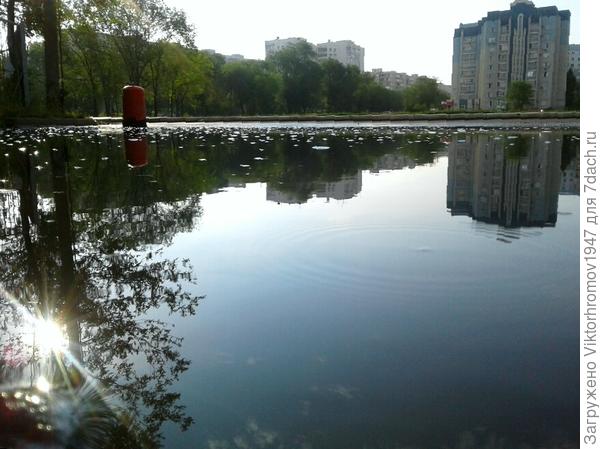 Опять дождь...