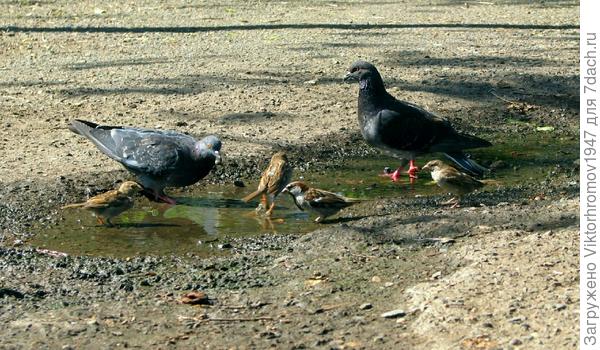 В тесноте, но не в обиде!