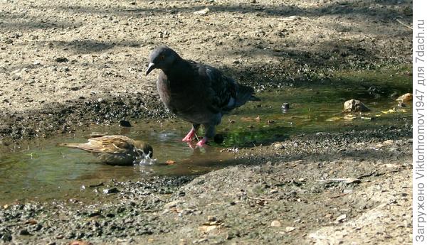 Я ещё не пил.