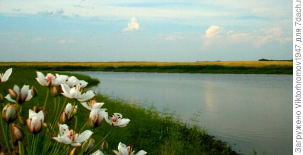 Родные просторы...