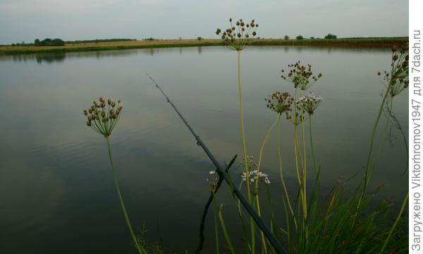 В ожидании поклёвки...
