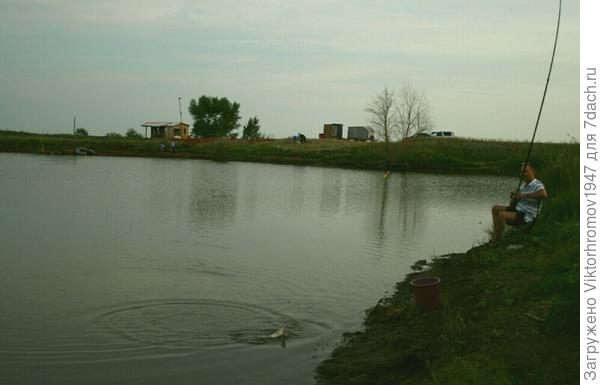 Кажется Сазан.