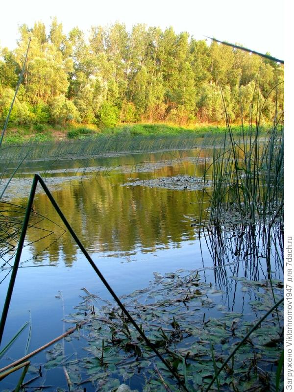 там другая страна Казахстан.