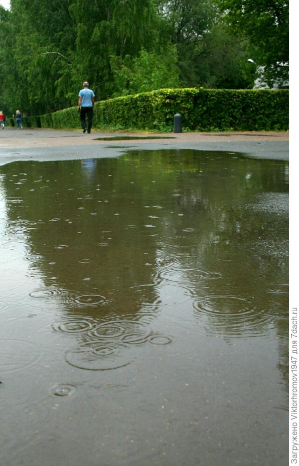 Опять закапало...