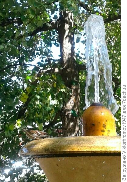 или ОЧЕНЬ ПИТЬ ХОЧЕТСЯ...