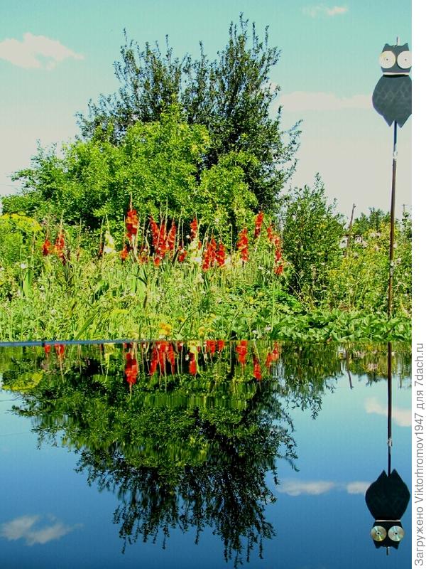 ВАЛЕТ ПИКЕЙ