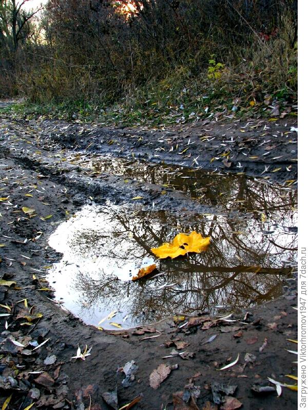 Будто осень.