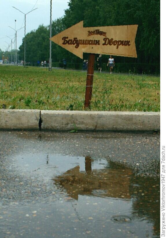 Детский зоопарк.