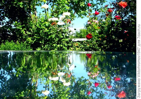 Хорошего настроения!