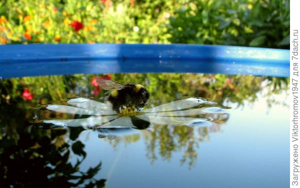 Так хоть поплавать.