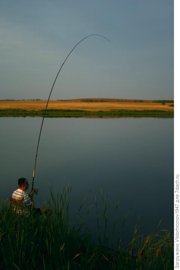 Мощная поклёвка...