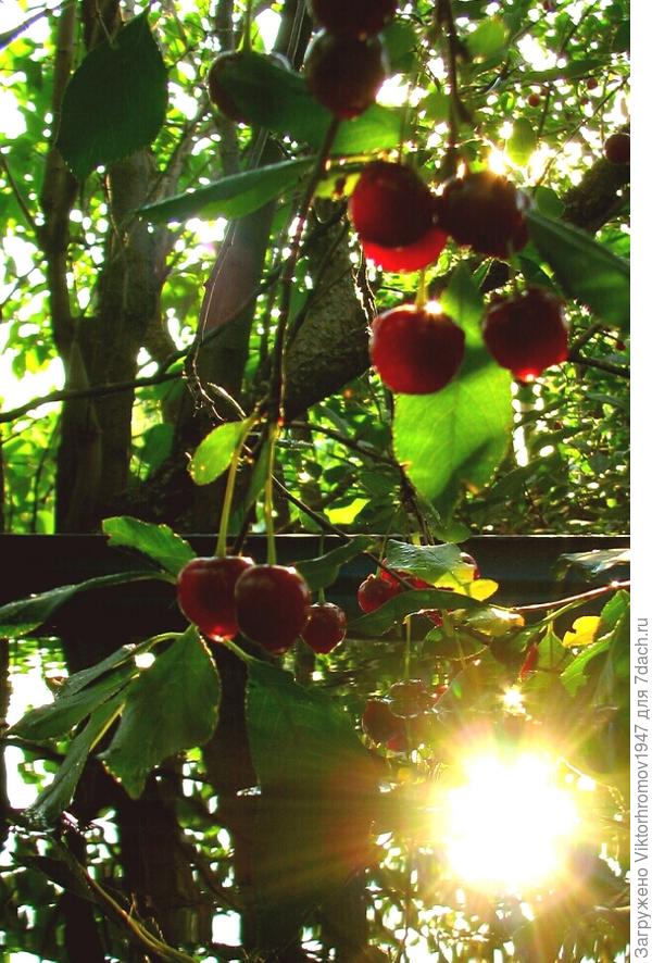 Повеяло вечерней прохладой...