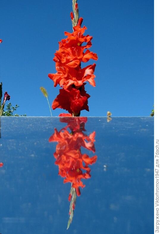 Прекрасных эмоций...