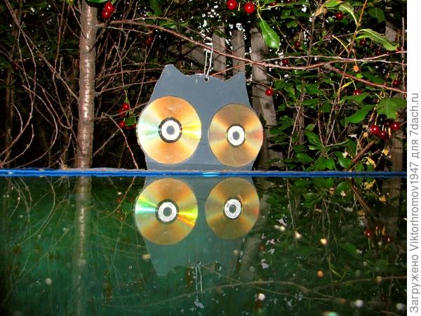 Я  ВОДЯНОЙ...