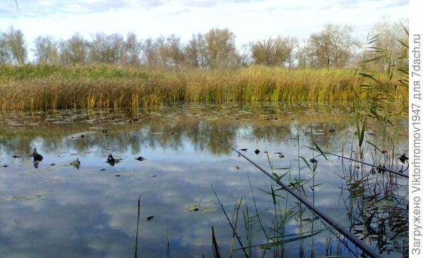 Линь начнёт хорошо клевать.