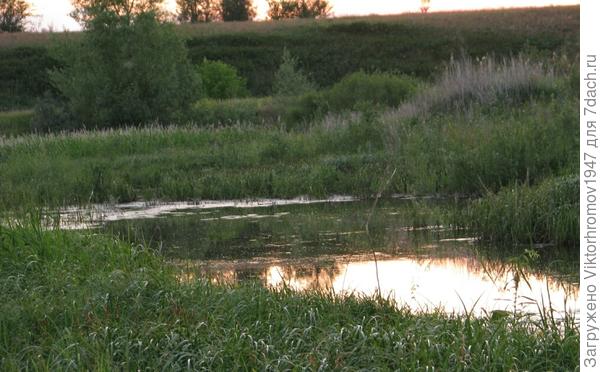 Вечернее затишье