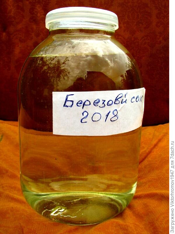 Березовый сок