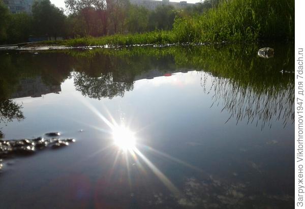 Решило искупаться...