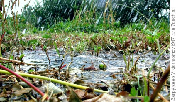 Через минуту ручеёк потёк...