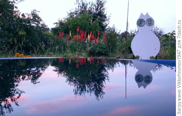 Красиво вечером на даче. Закат.