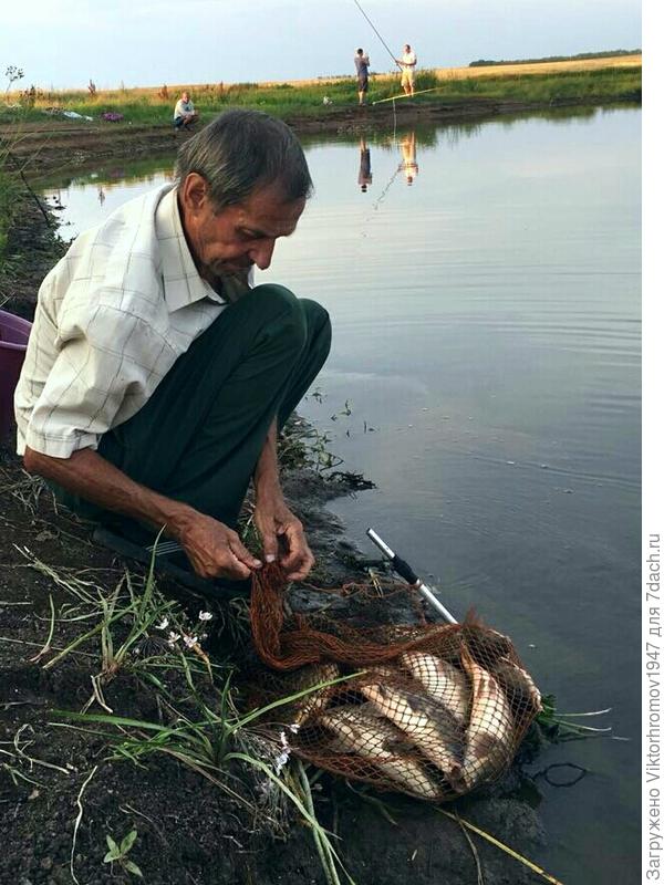 На &amp;quot;жарёжку&amp;quot; хватит...