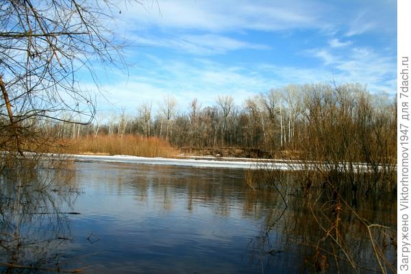 вспомнить раннею весну.