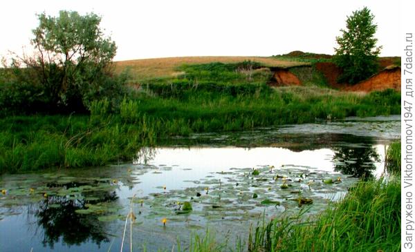 На вечерний клёв за карасиками...
