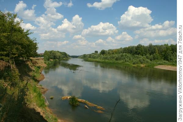 Белоснежные лошадки...
