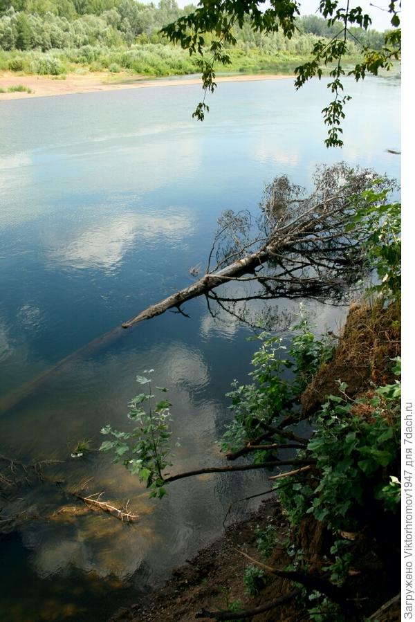 После Урагана...