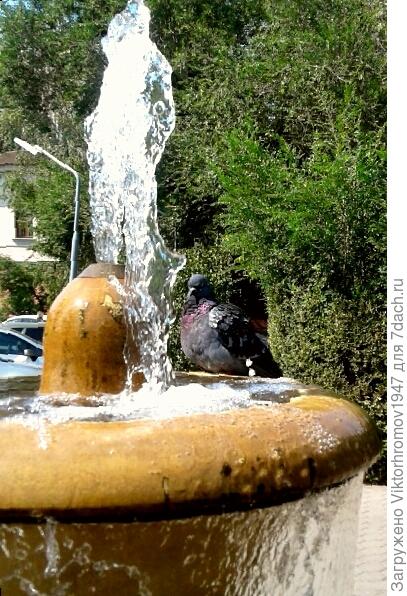 Фото на память...