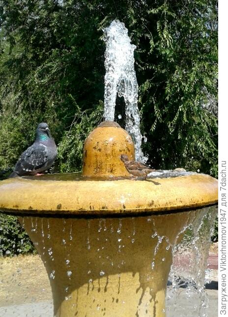 Можно я рядышком пристроюсь?