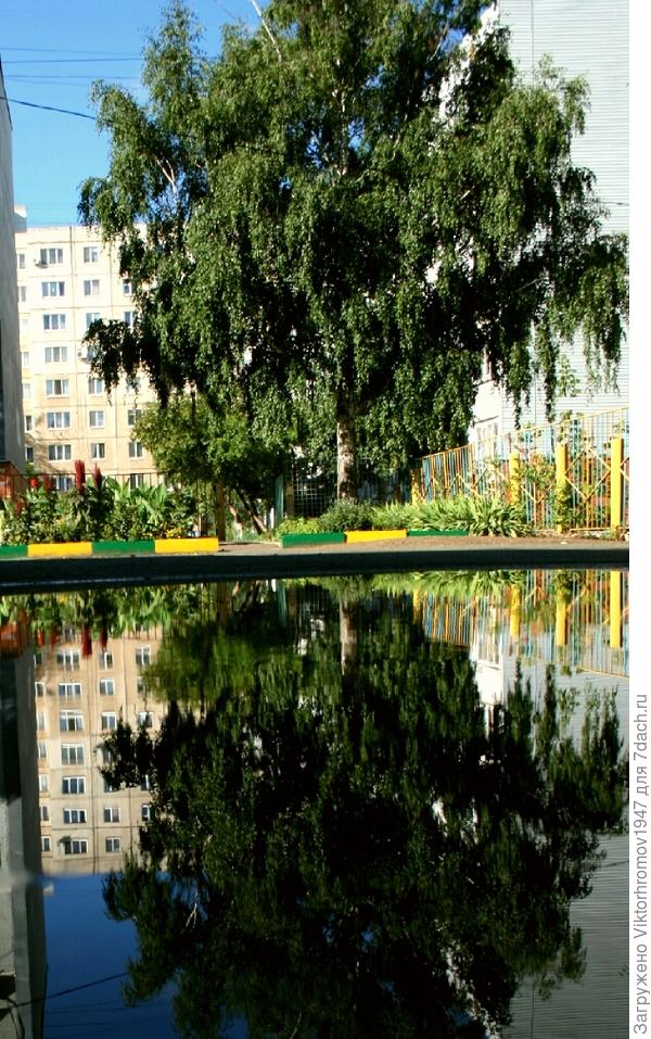 Конечно вырастет.