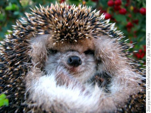 Хм...Да вроде всё в порядке!