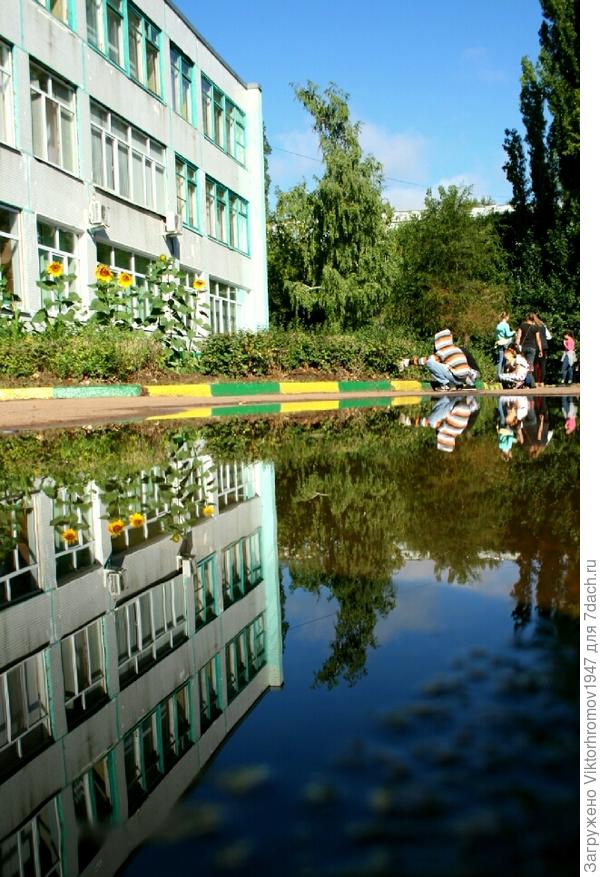 Наведение порядка и чистоты.