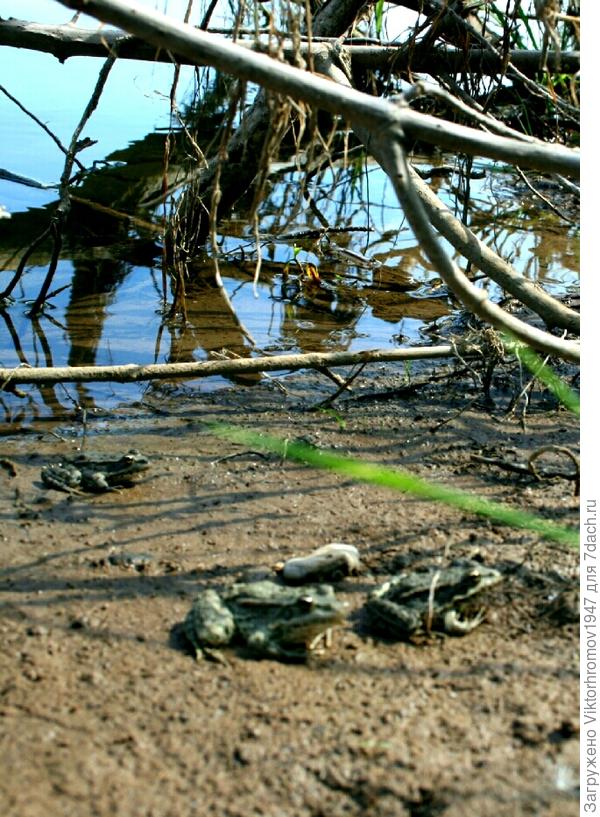 Не прекращаются.