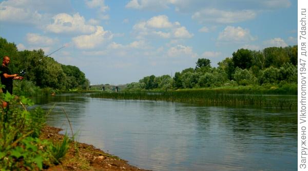 Охотятся за Судаком и Щукой.
