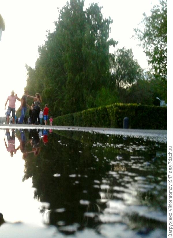 Дождливый вечер в парке.