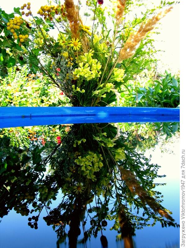 ПОЛЕВОЙ БУКЕТИК.