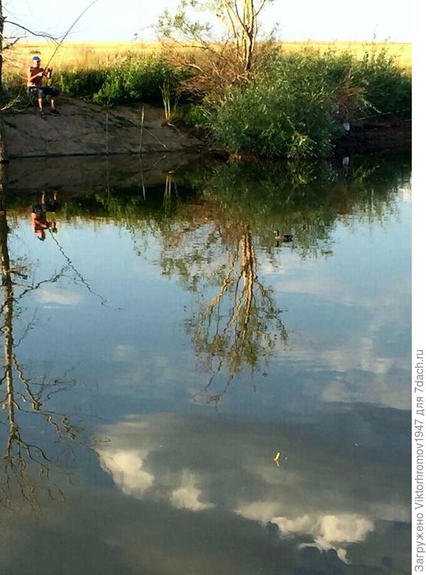 Летний отдых на пруду.