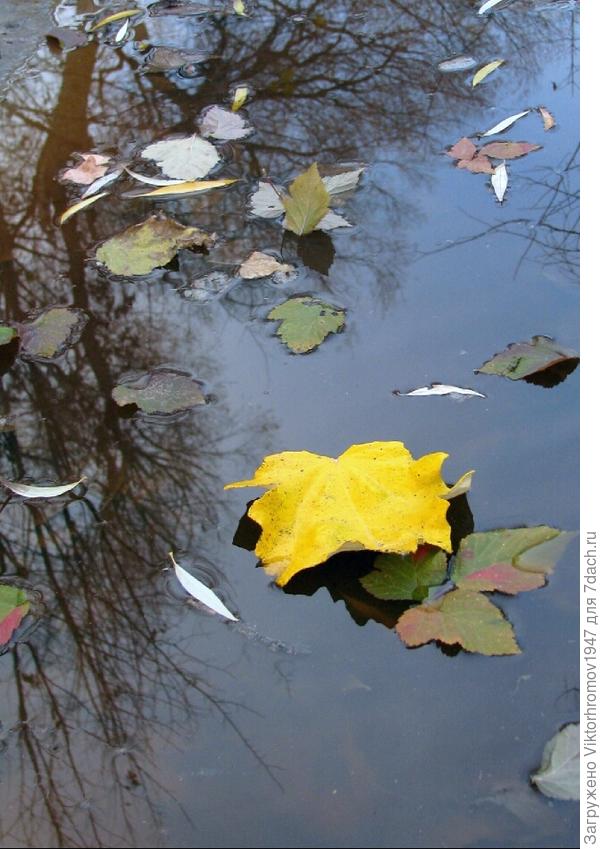 СКОРО ОСЕНЬ