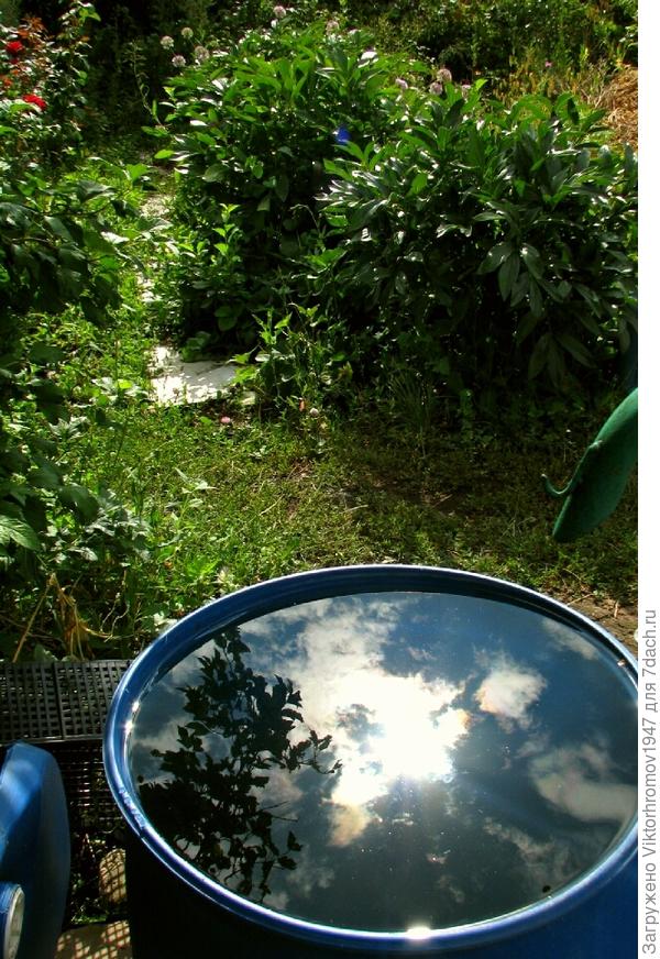 Солнышко хочет в бочку заглянуть.