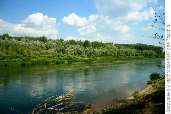 с чистой прозрачной водой.