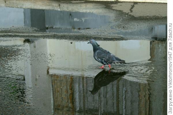 Не идёт, а пишет...