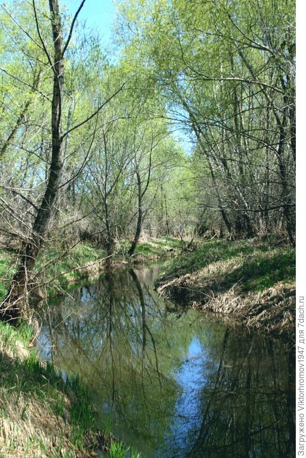 Родниковая и даже летом не пересыхает.