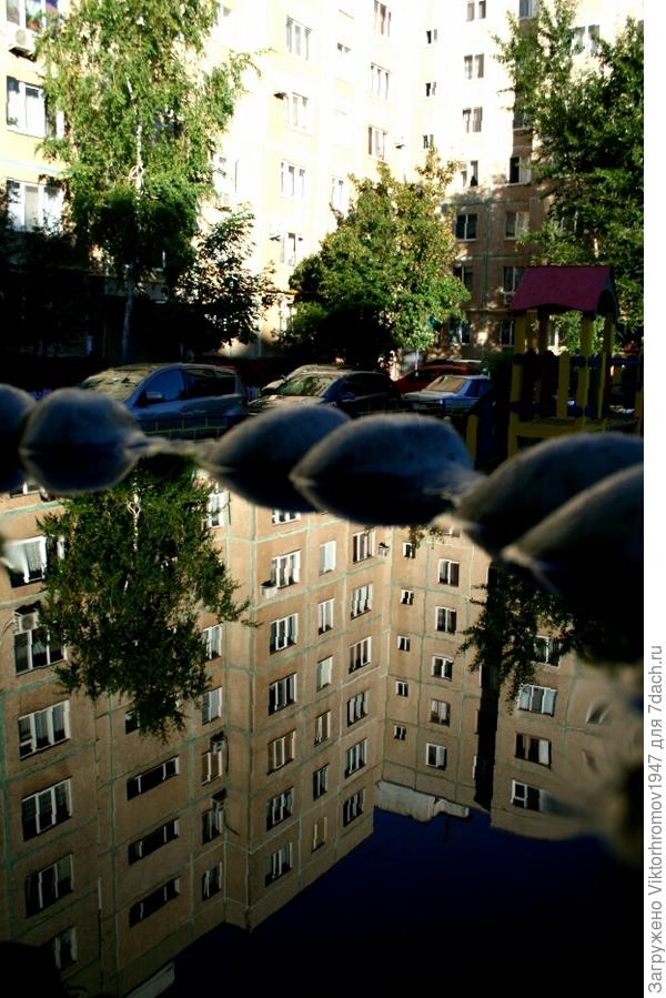 ОТРАЖЕНИЕ в ФОНТАНЕ