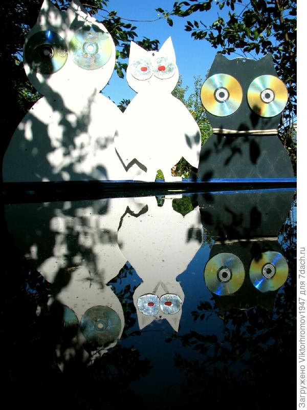 ТРУС. БАЛБЕС. БЫВАЛЫЙ.